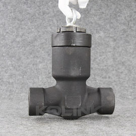 চাপ সীল বনেটযুক্ত ফোরজড ইস্পাত চেক ভালভ CL900-2500