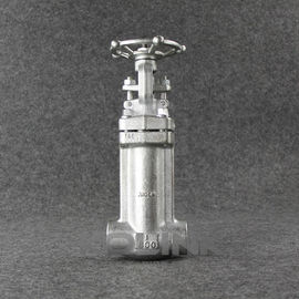 ছাঁটা স্টেইনলেস স্টীল Bellows সীল গেট ভালভ F304 F316